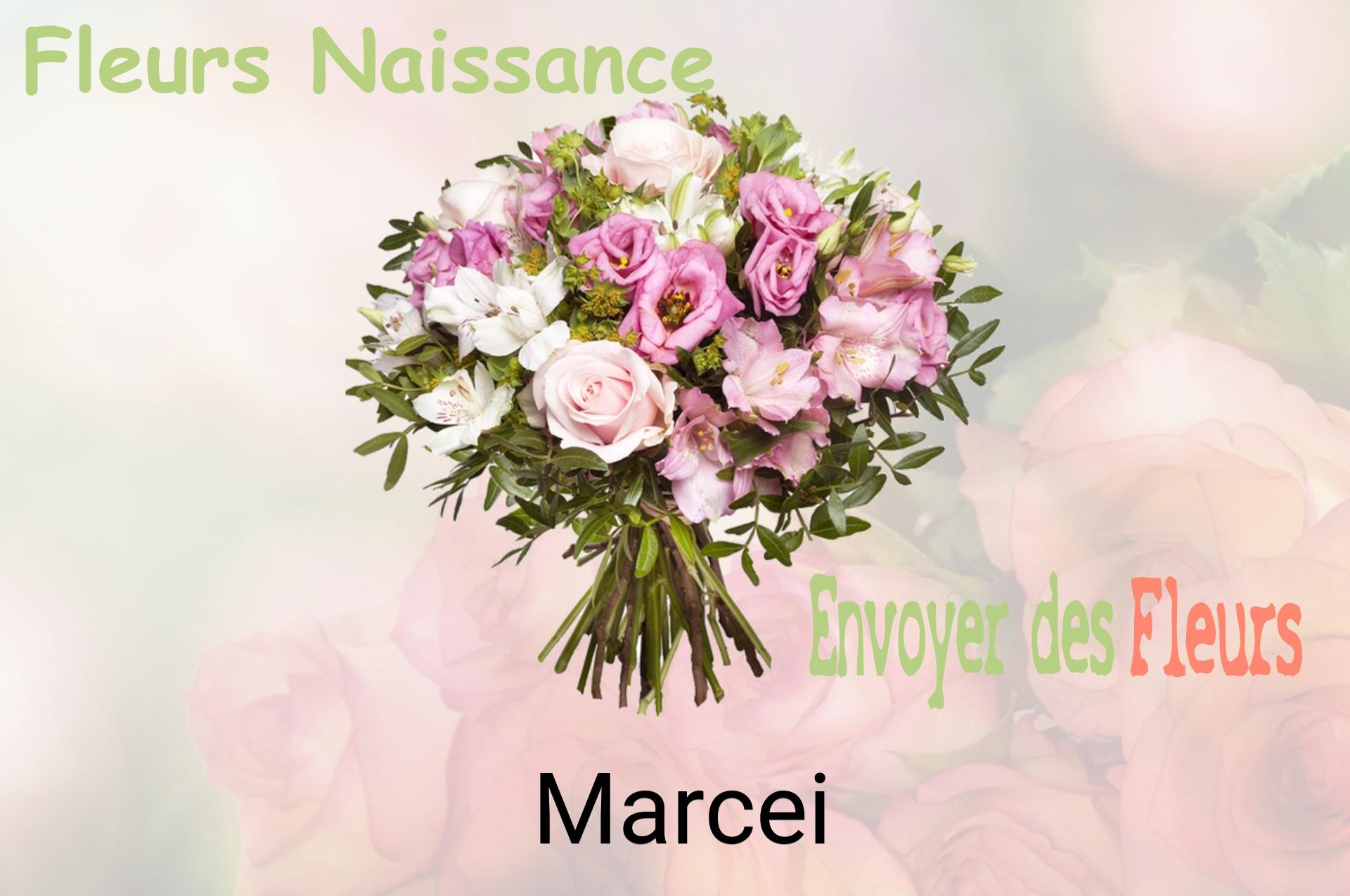 Bouquet de fleurs de naissance livré à Marcei